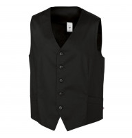 Viesmīļa Veste 1529-684-32