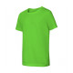 Fantasy - apple green