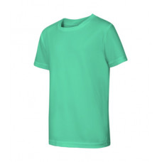 Fantasy - mint