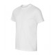 Edge - white