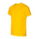 Edge - yellow