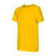 Edge - yellow